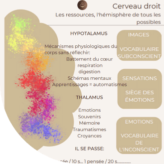 Sophrologie, Hypnose, Massothérapie, De Jésus Matias Elodie, Soyez libre, prenez votre envol, liberté, bien être, corps, esprit, thérapie, accompagnement thérapeutique, médecine alternative, soin, cœur, amour, cerveau droit, ressources, pensées, état modifié de conscience