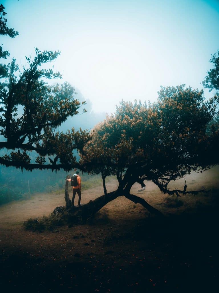 Cabinet Genève, Sophrologie, Hypnose, Massothérapie, Soyez libre, prenez votre envol, liberté, bien être, corps, esprit, thérapie, accompagnement thérapeutique, médecine alternative, soin, cœur, amour, ressources, potentiels, pensées, état modifié de conscience