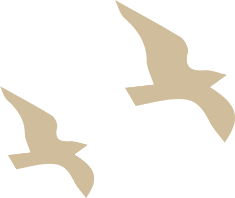 Sophrologie, Hypnose, Massothérapie, De Jésus Matias Elodie, Soyez libre, prenez votre envol, liberté, bien être, corps, esprit, thérapie, accompagnement thérapeutique, médecine alternative, soin, cœur, amour